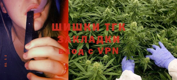 ешки Мегион
