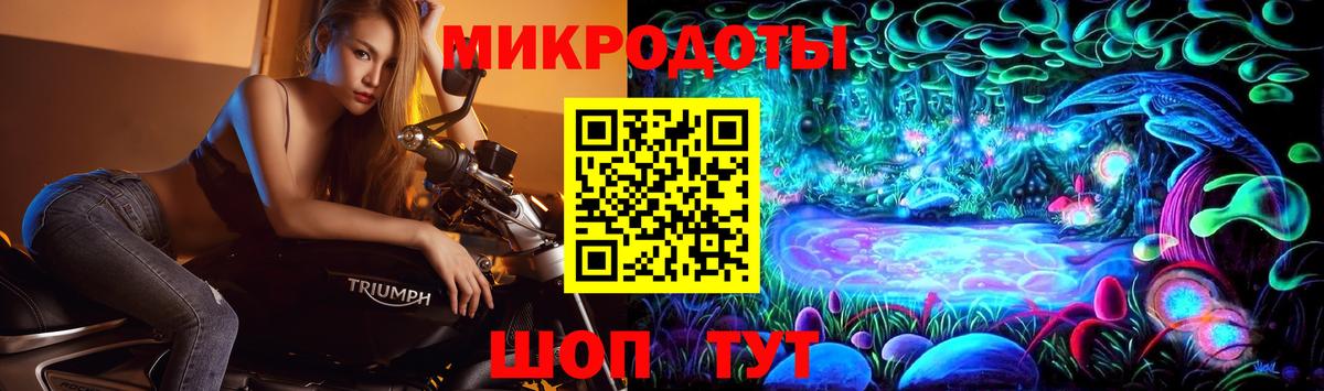 Камень-на-Оби  Галлюциногенные грибы мицелий  Вход с VPN 