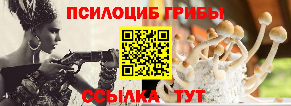 Галлюциногенные грибы ЛСД Камень-на-Оби