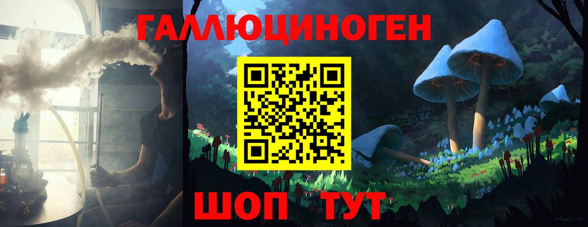 Галлюциногенные грибы MAGIC MUSHROOMS  где купить наркотик  Камень-на-Оби 